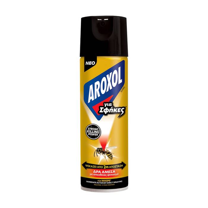 AROXOL εντομοκτόνο για σφήκες spray 300ml
