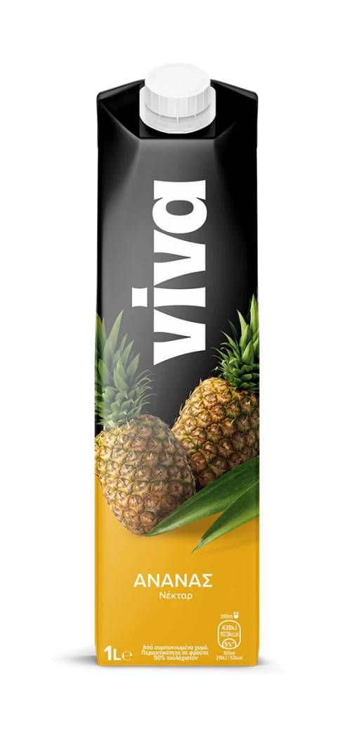 VIVA χυμός νέκταρ με ανανά 1lt
