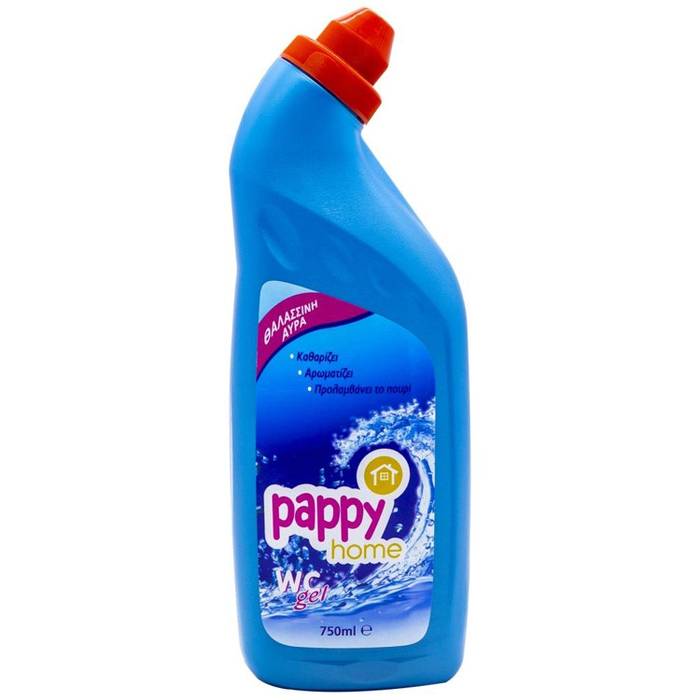 PAPPY HOME υγρό καθαρισμού τουαλέτας θαλάσσια αύρα 750ml
